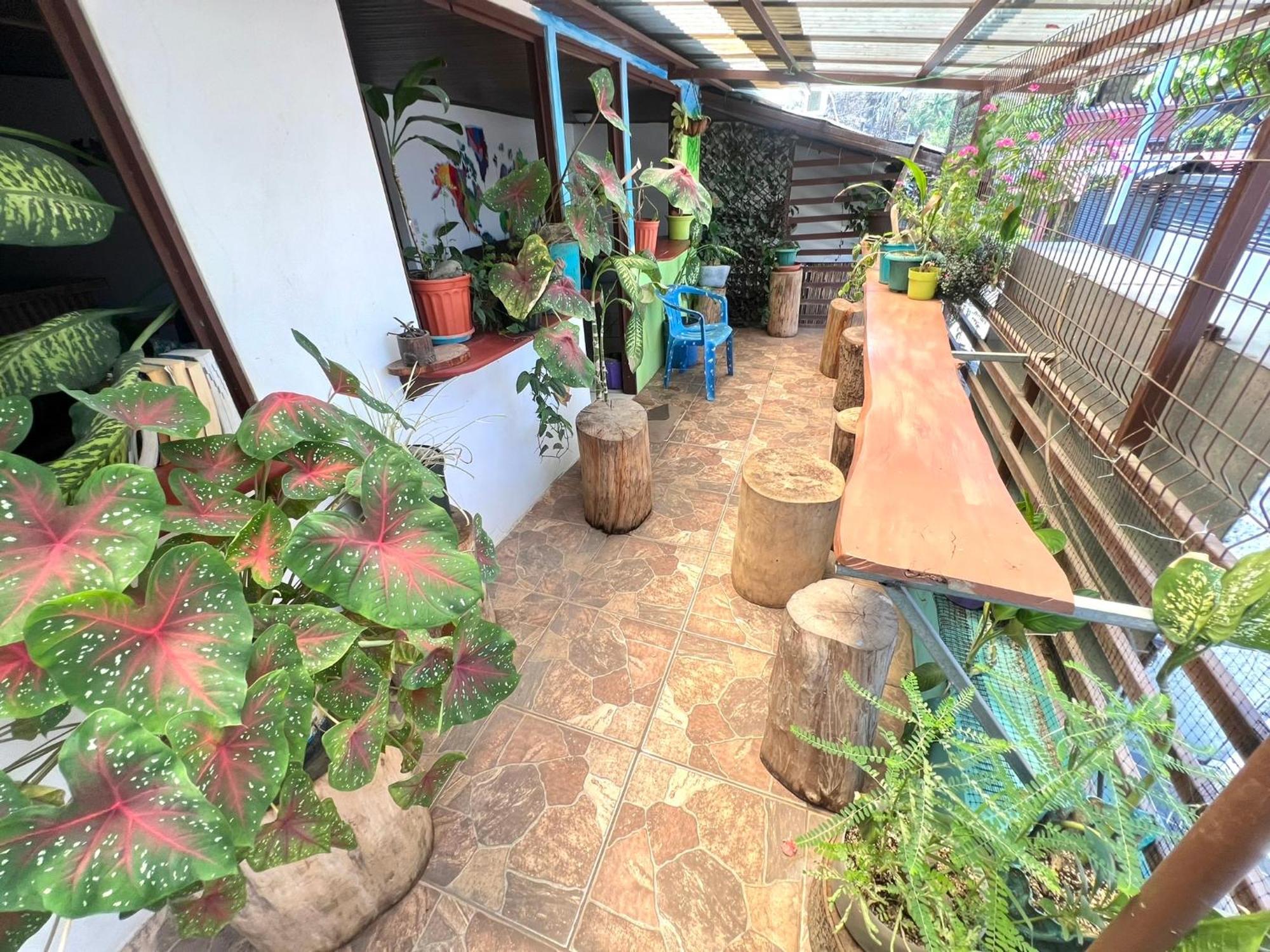 Passifloras Hostel Quepos Eksteriør bilde