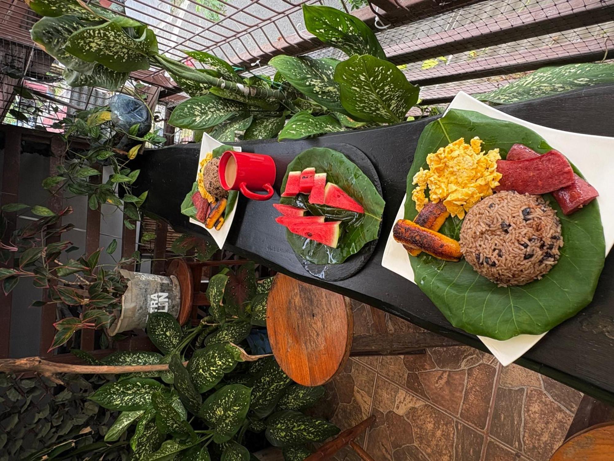Passifloras Hostel Quepos Eksteriør bilde